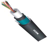 ���w�o(h��)��